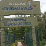 Sajnekhali Tiger reserve camp