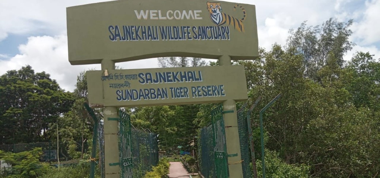 Sajnekhali Tiger reserve camp