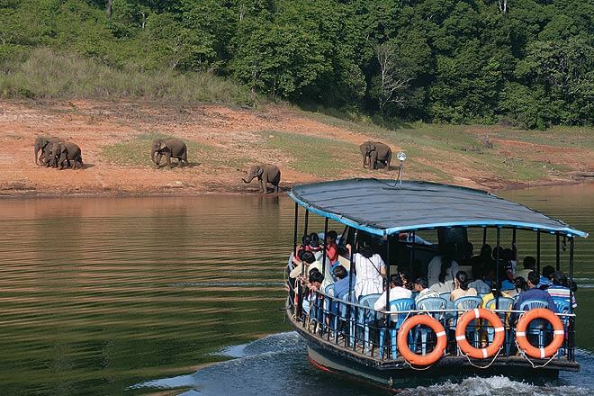 Boat Safari Periyar Kerala