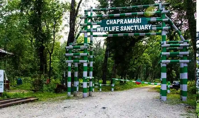 chapramari wildlife sanctuary