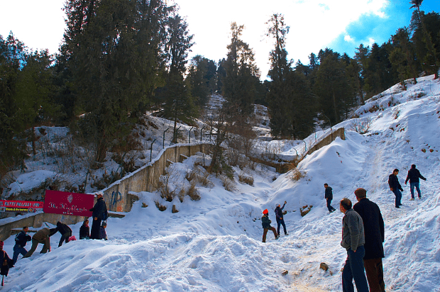 shimla kufri1