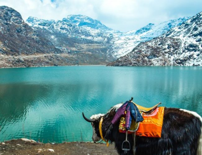 gangtok visit changu lake